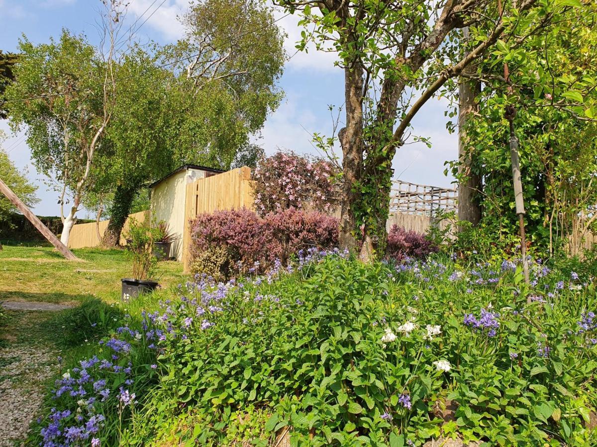 Moorview House Bed & Breakfast Bideford Exterior photo